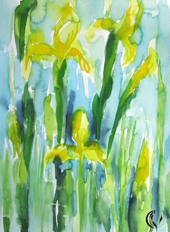 Blume gelbe Iris Aquarell