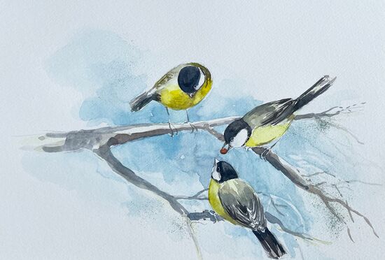 malen am meer Meisen Meisen Vögel niedlich Aquarell