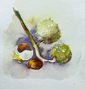 kastanien aquarell malerei sketch