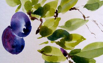 malanleitung aquarell