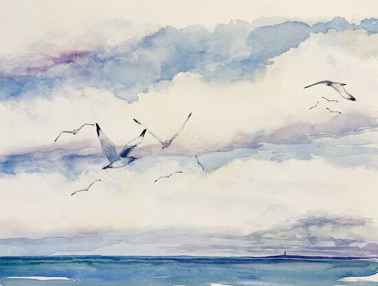 Möwen Himmel Meer Aquarell
