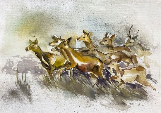 Rehe Herde rennen weg Tiere malen Aquarell