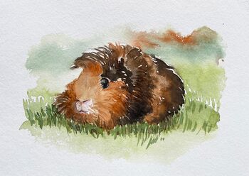 rosettenmeerschweinchen meerschweinchen aquarell braun