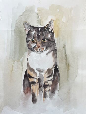 katze sitzend aquarell malerei tiere