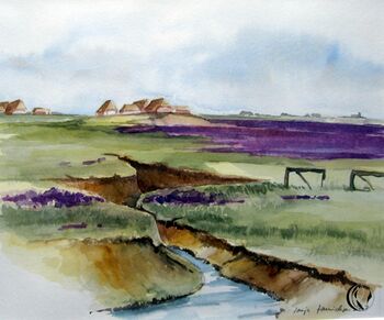 Hallig Langeness im Aquarell mit Halligflieder