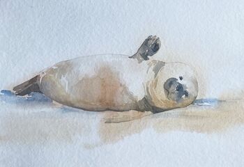 Robbe Seehund Tier Aquarell malen