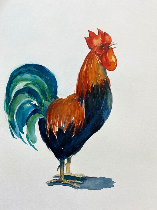 hahn hühner aquarell malerei tiere
