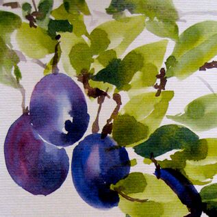 Aquarell Malanleitunt