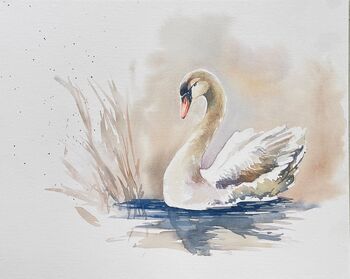 weißer Schwan gemalt im Aquarell