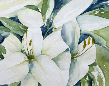 weiss blumen aquarell malerei