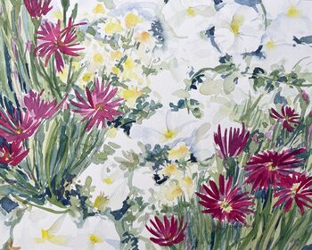 Mittagsblumen Malven Blumen im Aquarell