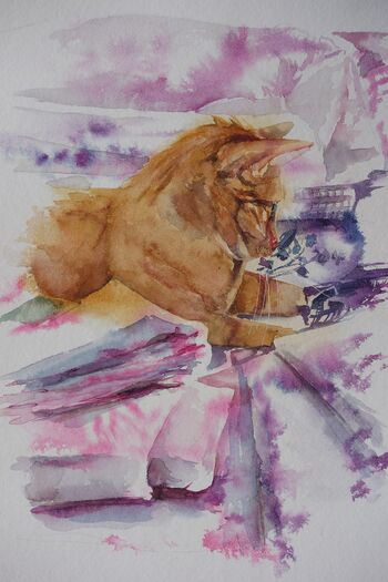 Tier rote Katze zwischen Stoffballen Aquarell