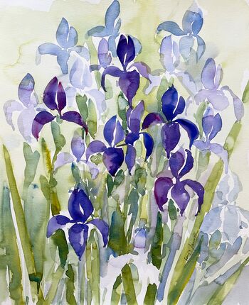 blaue Iris Schwertlilie Blume malen Aquarell