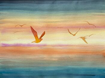 möven aquarell malerei sonnenuntergang
