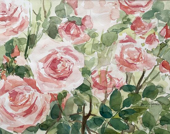 rosen rosa aquarell malerei