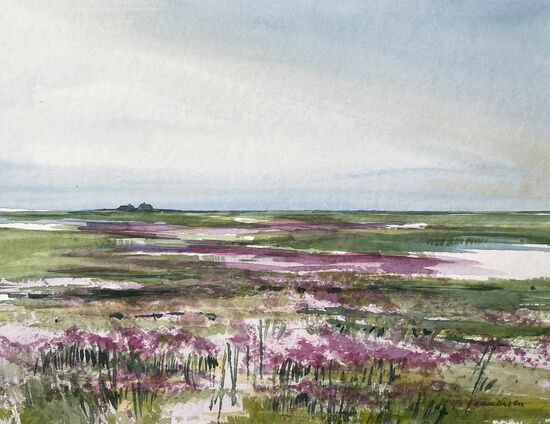 malen am meer Hallig mit Halligflieder Landschaft Hallig mit Halligflieder