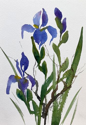 Iris Schwertlilie blau Blume malen Aquarell