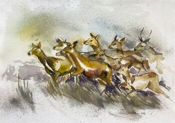Rehe Herde rennen weg Tiere malen Aquarell