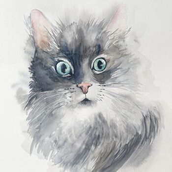 kuschelige suesse Katze