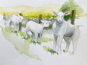 Schaf Lämmer Tier süß malen Aquarell