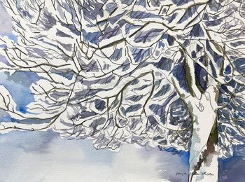 Baum mit Schnee Frost Illustration Aquarell malen