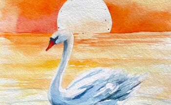 Tier Schwan mit Sonne