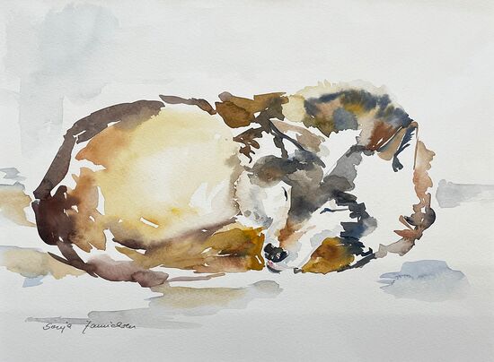 wolf tiere aquarell malerei wild