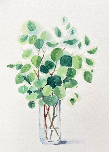 Eukalyptus in Glasvase gemalt Aquarell