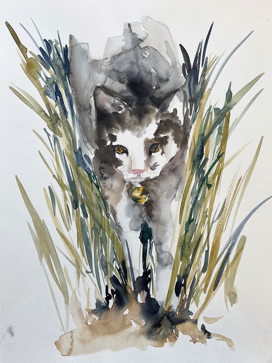 katze im gras malerei aquarell
