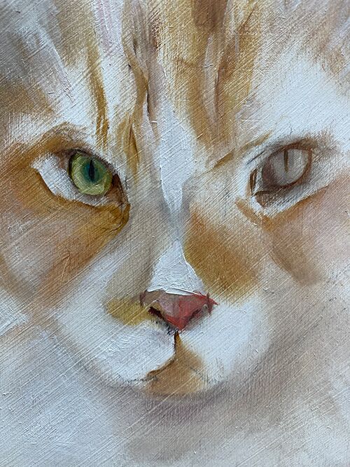 Katzenporträt