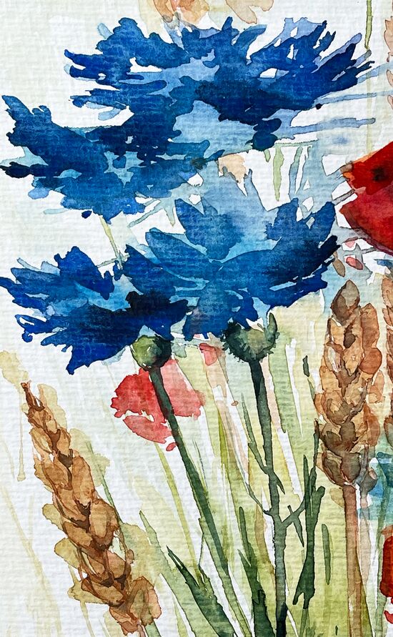 Kornblumen Korn