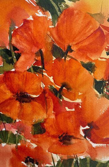 rot oranger Mohn Blume im Aquarell