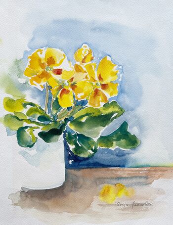 gelbe Primel im weißen Topf Aquarell