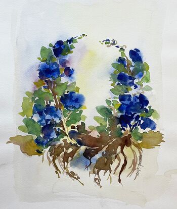 blaue Blume Illustration Garten Aquarell