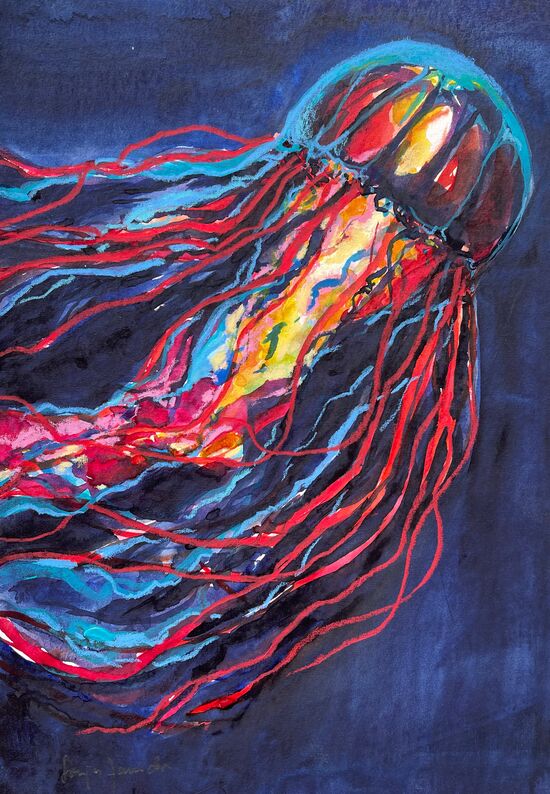 malen am meer qualle dunkel bunte Qualle im Aquarell gemalt