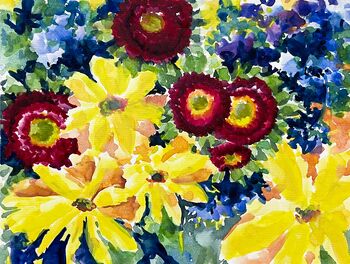 Bellis rot gelbe kuhaugen blumen malen aquarell