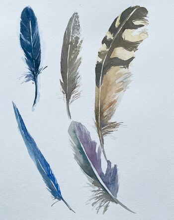 Federn Aquarell bunt flauschig