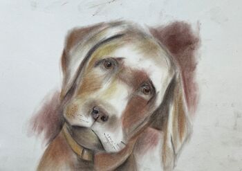 Hund Tier süß Aquarell malen