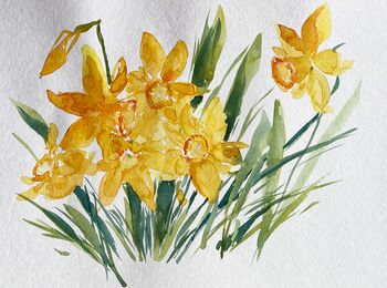 Osterglocken im Aquarell gemalt