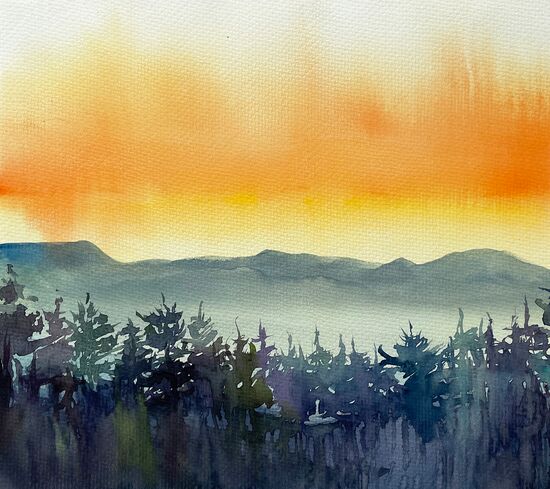 sonne wald idyllisch orange nebel