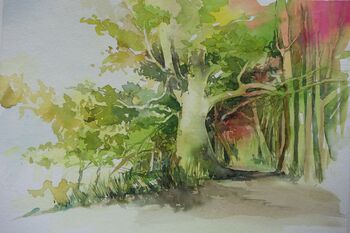 großer Baum Wald im Aquarell