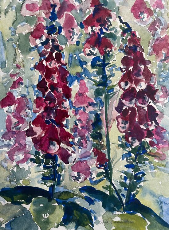 malen am meer digitalis Digitales Fingerhut Blume im Aquarell