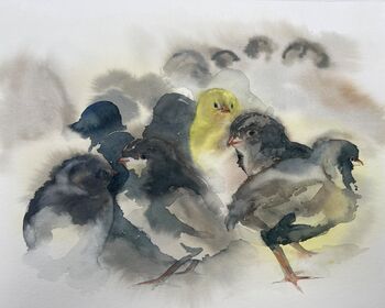 tier gelbe küken Aquarell