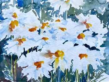 blumen margeriten aquarell weiss