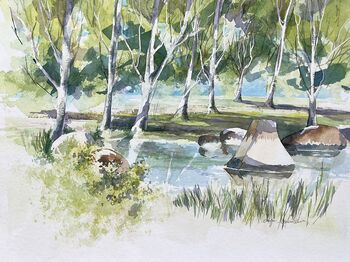 Birken Bäume Gewässer Steine Aquarell