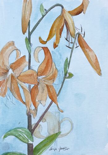 blumen aquarell malerei orange