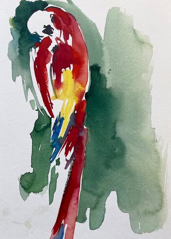papagei bunt aquarell malerei tiere