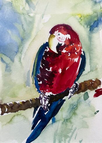 papagei bunt rot aquarell malerei tiere