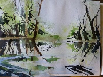 Wakenitz mit Spiegelung Lübeck im Aquarell