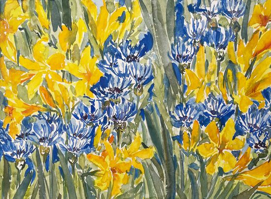 malen am meer kornblumen Kornblumen Lilien Blumen im Aquarell
